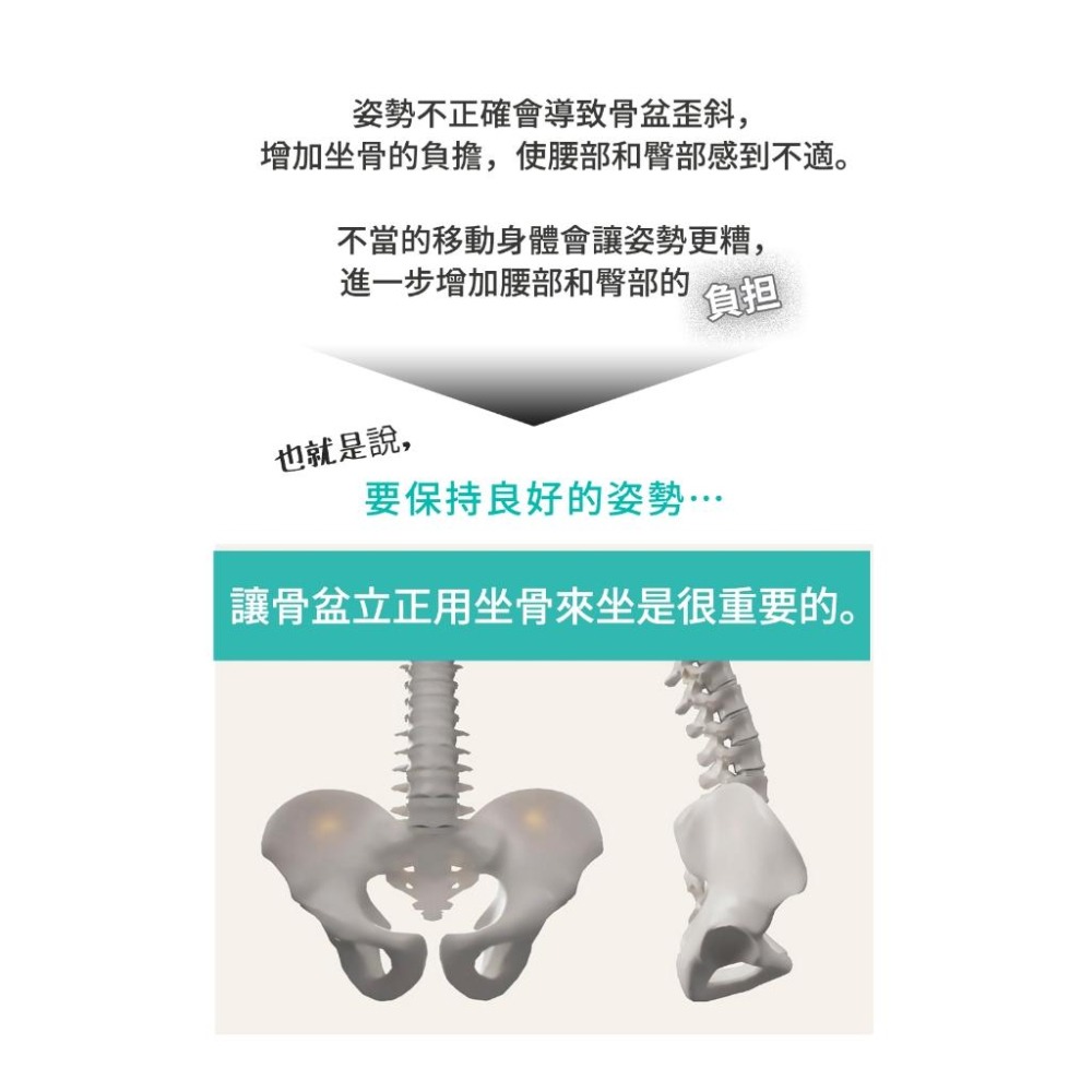 日本 bodysprout GUIN-SEAT 樂樂座 健康整骨 雙面用 小林-細節圖9
