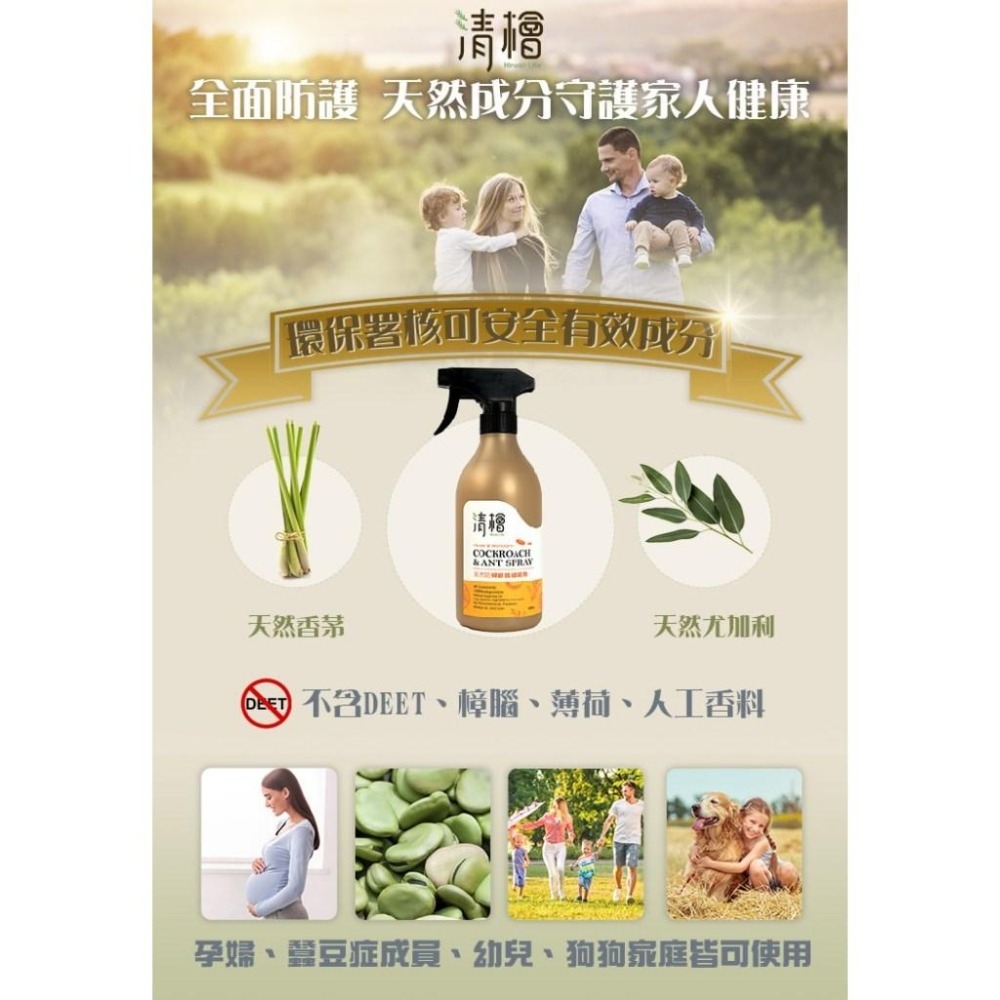 清檜 Hinoki Life 天然防蟑螂螞蟻噴劑 500ml-隔日到貨--細節圖5