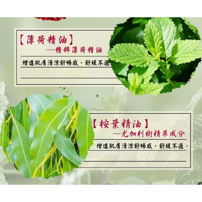 保濟堂 一條根 滾珠 超涼35g 清涼舒適 台灣藥廠製造 公司貨-細節圖4