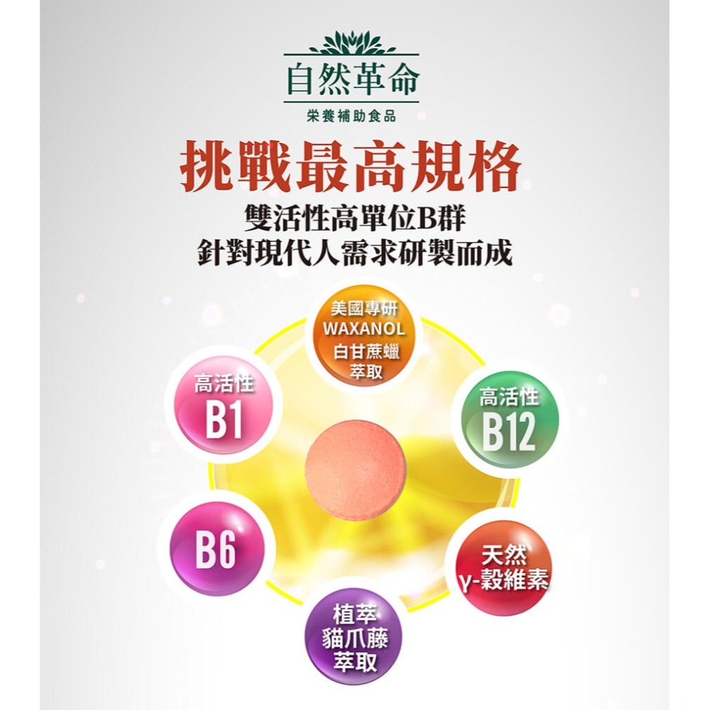 自然革命 B群 高效活性B 60粒 高單位 雙活性B群-細節圖2