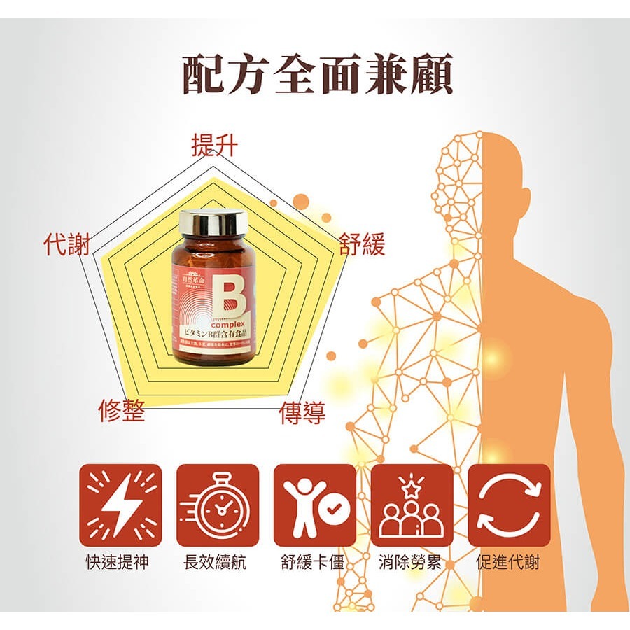 自然革命 B群 高效活性B 60粒 高單位 雙活性B群-細節圖6