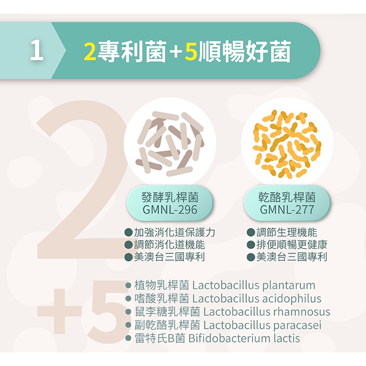 悠活原力 300億純淨益生菌（30條/盒）無添加 無色素 無香料 孕婦銀髮老人可用 益生菌-細節圖5