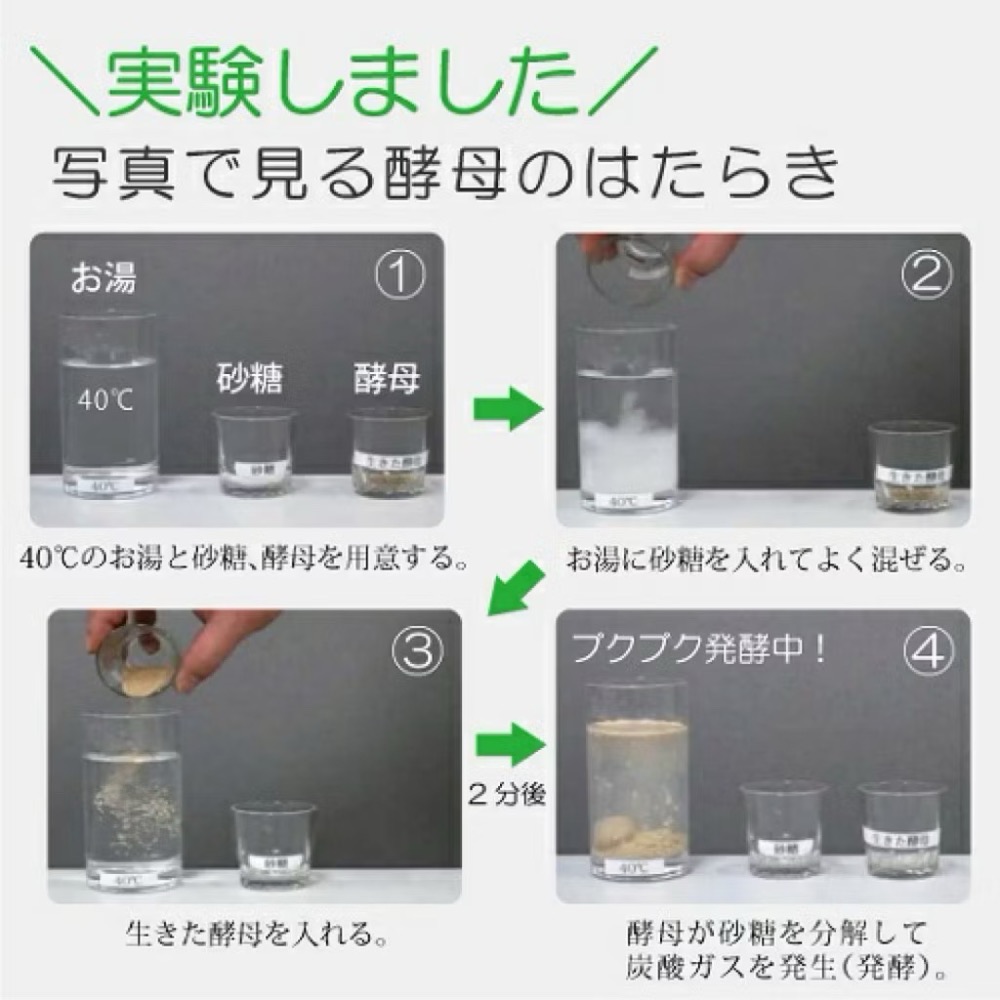 ❤️現貨❤️日本🇯🇵Rotts  生酵母糖質分解糖脂膠囊 30粒-細節圖4