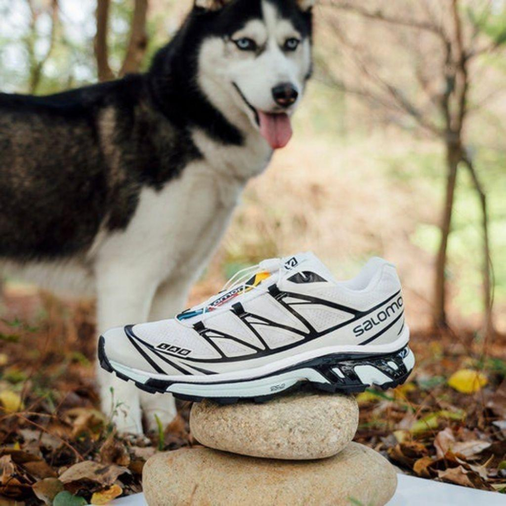 Salo XT-6 越野登山鞋哈士奇 L41317300 白黑色｜白色｜黑色｜薄荷綠｜網眼布鞋面｜防潑水-細節圖3