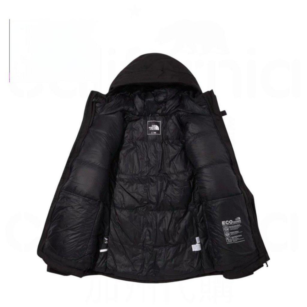 日版北面「胖子可穿」RETRO HIMALAYAN Summit巔峰系列 喜馬拉雅登山 頂級連帽羽絨外套-細節圖4