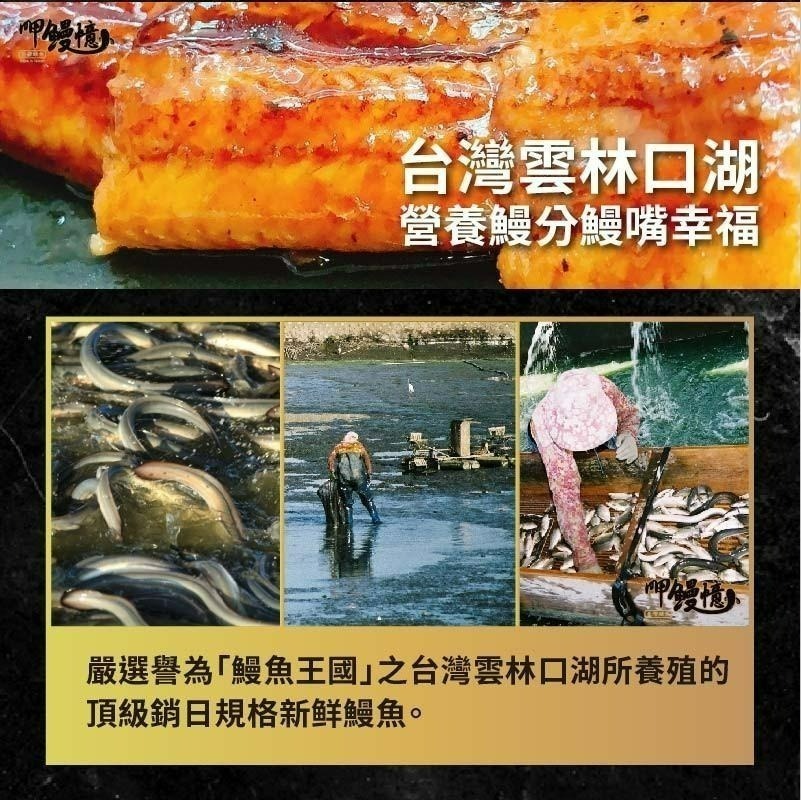 【呷鰻憶】日式蒲燒鰻-細節圖2