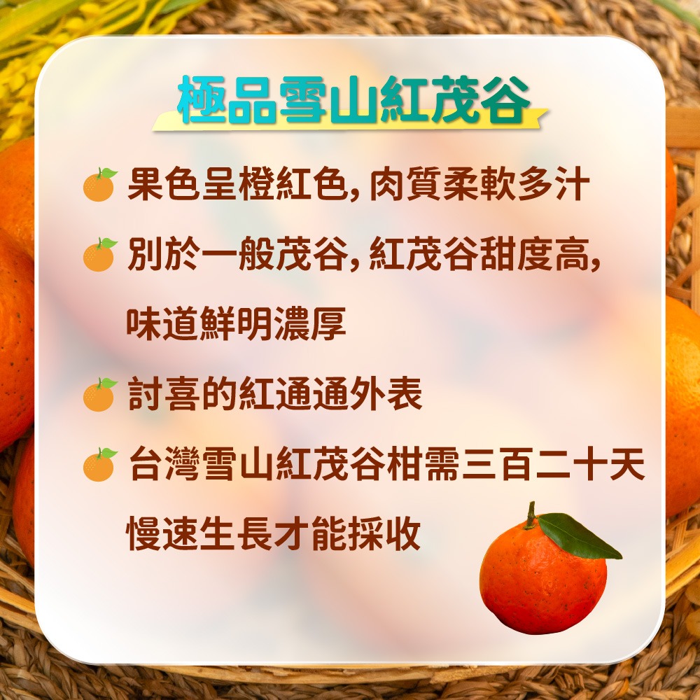 極品雪山紅茂谷（限量）-細節圖2