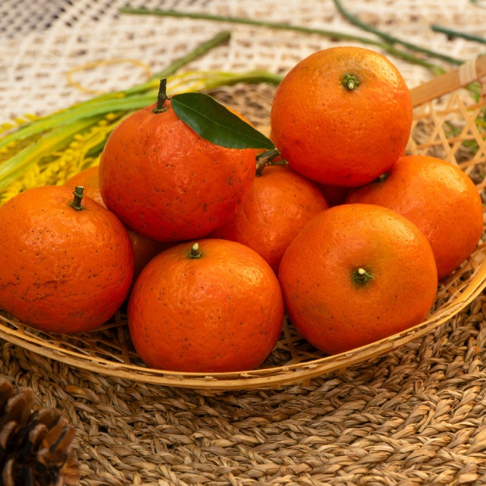 極品雪山紅茂谷（限量）-細節圖3