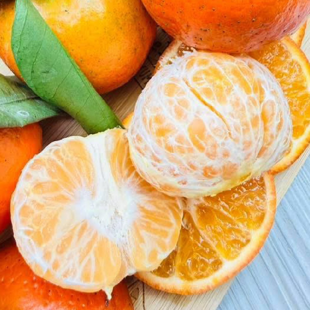 極品雪山紅茂谷（限量）-細節圖6