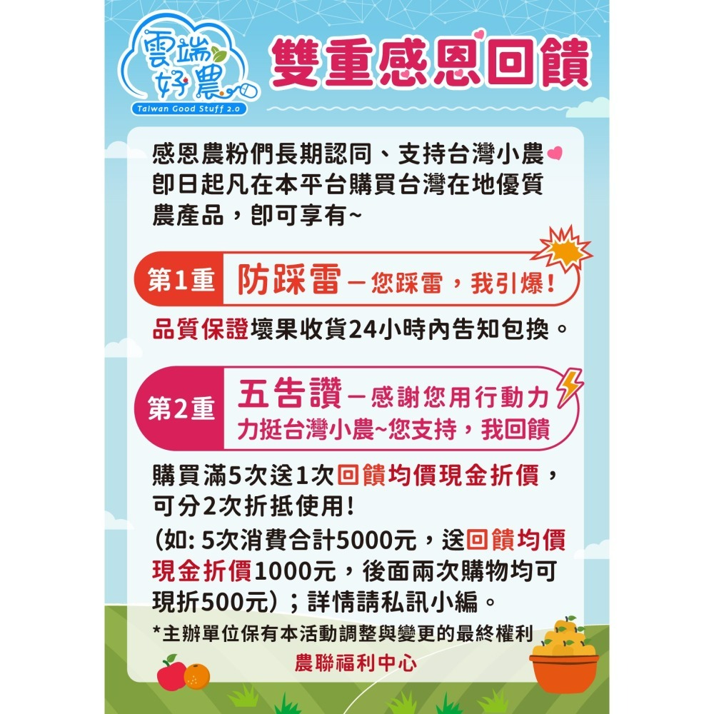 極品雪山紅茂谷（限量）-細節圖7