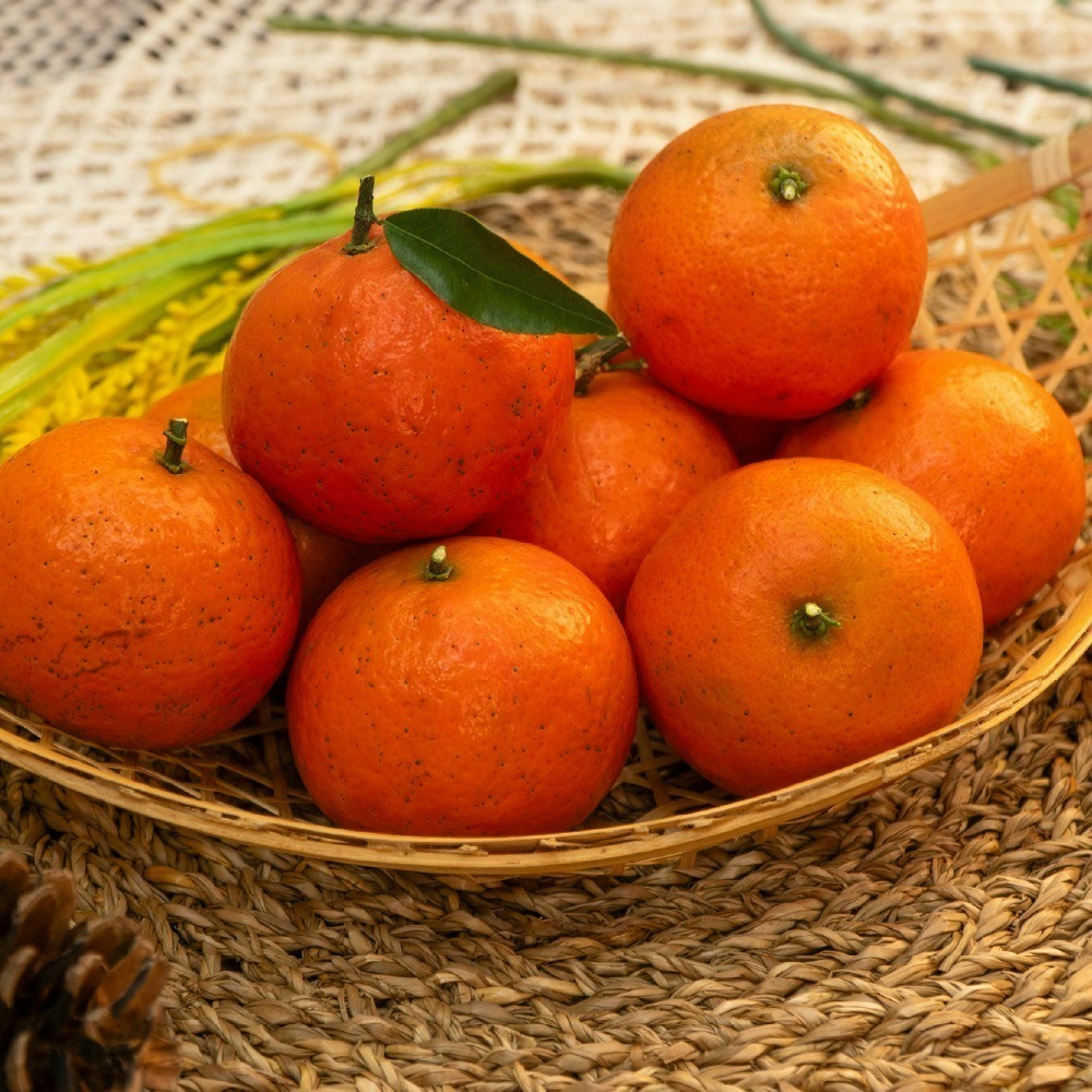 極品雪山紅茂谷（限量）-細節圖3