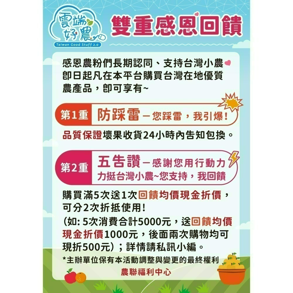 青蘋雪麗蜜棗 12顆/盒（2盒免運）-細節圖6