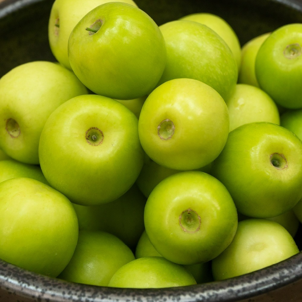 珠貝蜜棗-細節圖2