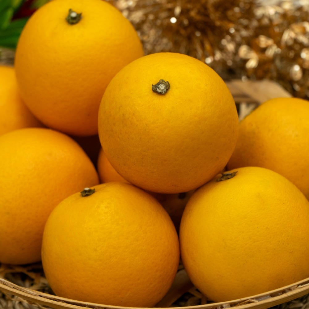 黃金砂糖橙-細節圖2