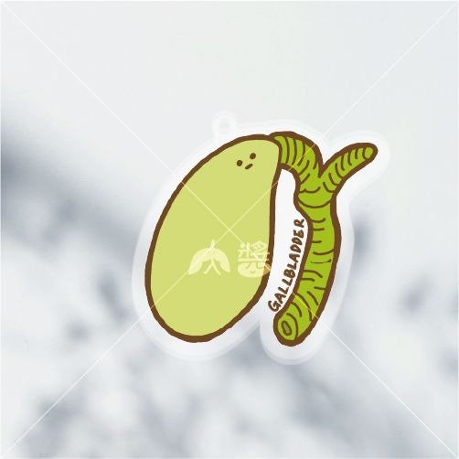 [現貨] 醫學院 | 淡定臟器系列-張膽（膽GALLBLADDER）壓克力鑰匙圈/吊飾-細節圖3