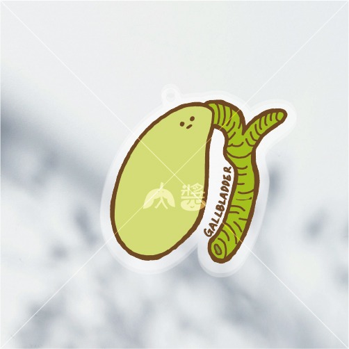 張膽（膽GALLBLADDER）壓克力鑰匙圈