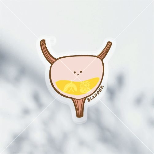 [現貨] 醫學院 | 淡定臟器系列-飲料杯（膀胱BLADDER）壓克力鑰匙圈/吊飾-細節圖3