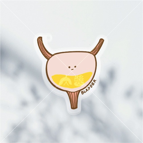 飲料杯（膀胱BLADDER）壓克力鑰匙圈