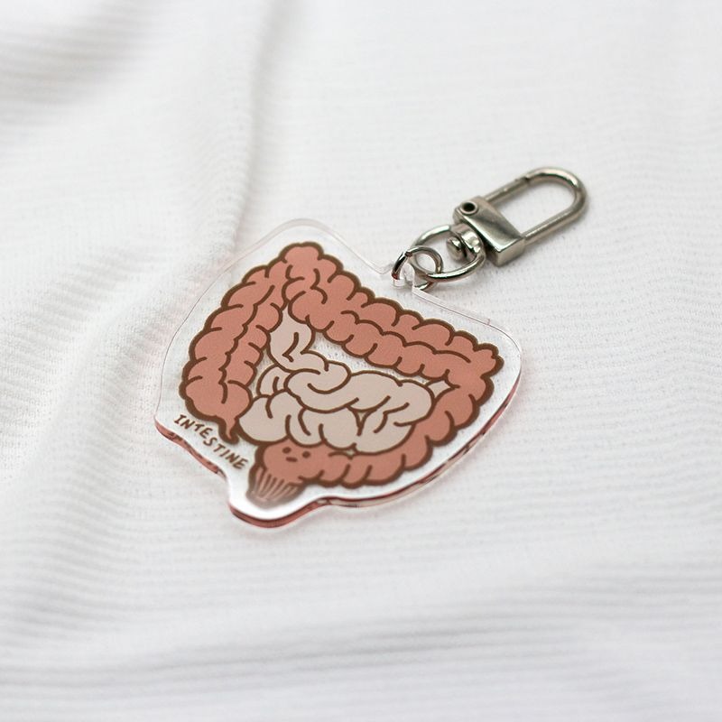 [現貨] 醫學院 | 淡定臟器系列-腸肥（腸INTESTINE）壓克力鑰匙圈/吊飾-細節圖2