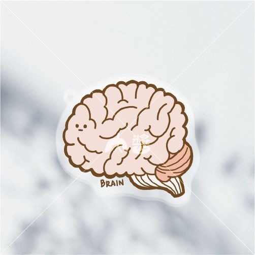 [現貨] 醫學院 | 淡定臟器系列-腦滿（大腦BRAIN）壓克力鑰匙圈/吊飾-細節圖3