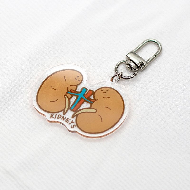 [現貨] 醫學院 | 淡定臟器系列-雙子腎（腎臟KIDNEYS）壓克力鑰匙圈/吊飾-細節圖2