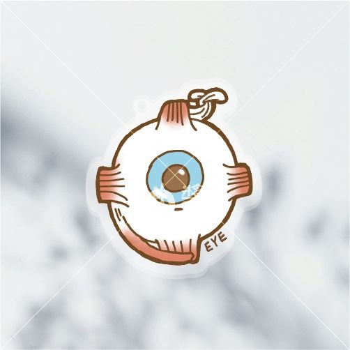 [現貨] 醫學院 | 淡定臟器系列-明目（眼EYE）壓克力鑰匙圈/吊飾-細節圖3