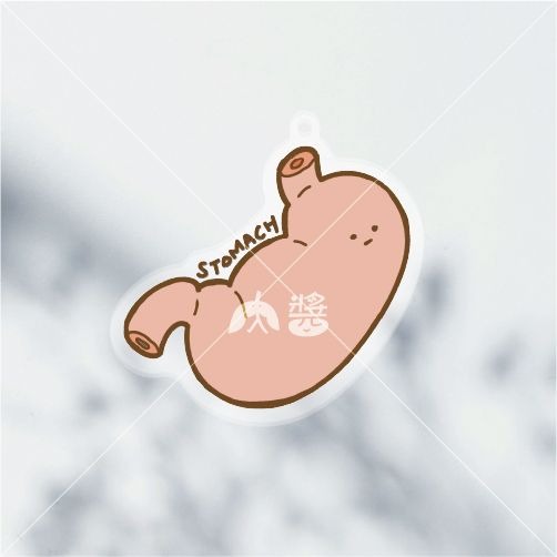 [現貨] 醫學院 | 淡定臟器系列-無所胃（胃STOMACH）壓克力鑰匙圈/吊飾-細節圖3