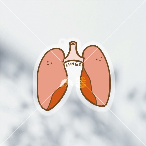 [現貨] 醫學院 | 淡定臟器系列-掏肺（肺臟LUNGS）壓克力鑰匙圈/吊飾-規格圖2