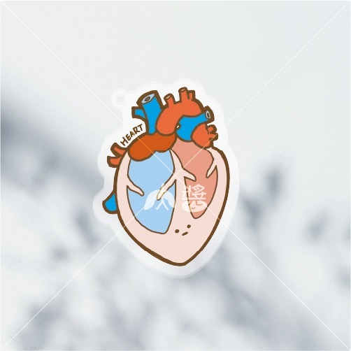[現貨] 醫學院 | 淡定臟器系列-掏心（心臟HEART）壓克力鑰匙圈/吊飾-規格圖2
