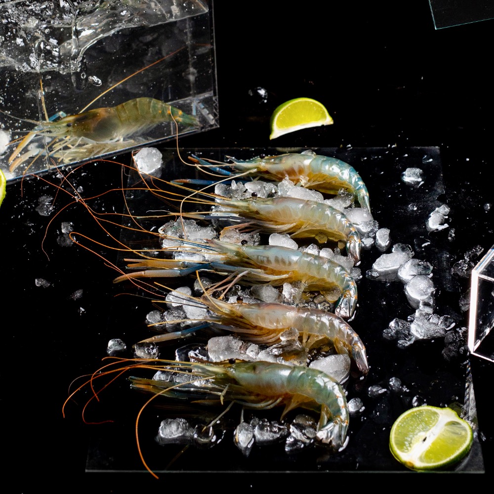 【活凍泰國蝦】鮮嫩Q彈母蝦 S (17尾以上)-細節圖3