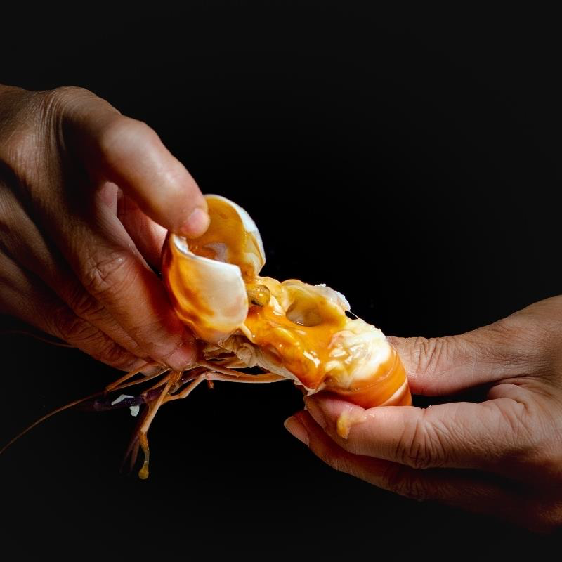 【活凍泰國蝦】老饕鮮膏公蝦 L (11-13尾)-細節圖4