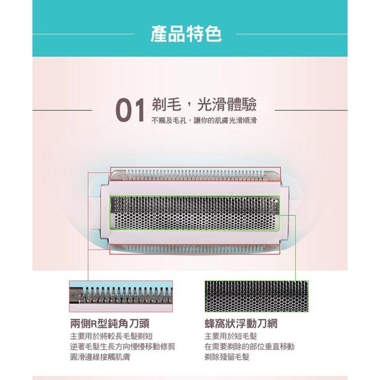 【現貨 快速出貨！精鋼刀頭 安全不傷膚】線修剪 無痛除毛刀 貝殼造型 私密處刮刀 修容刀 脫毛機 除毛機除毛器-細節圖2