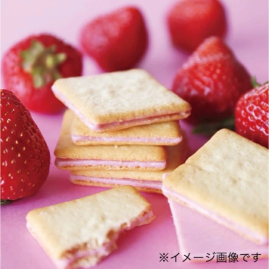 🇯🇵 福岡花福堂 🍓博多草莓夾心餅乾 甘王草莓 10入 福岡限定伴手禮-細節圖2