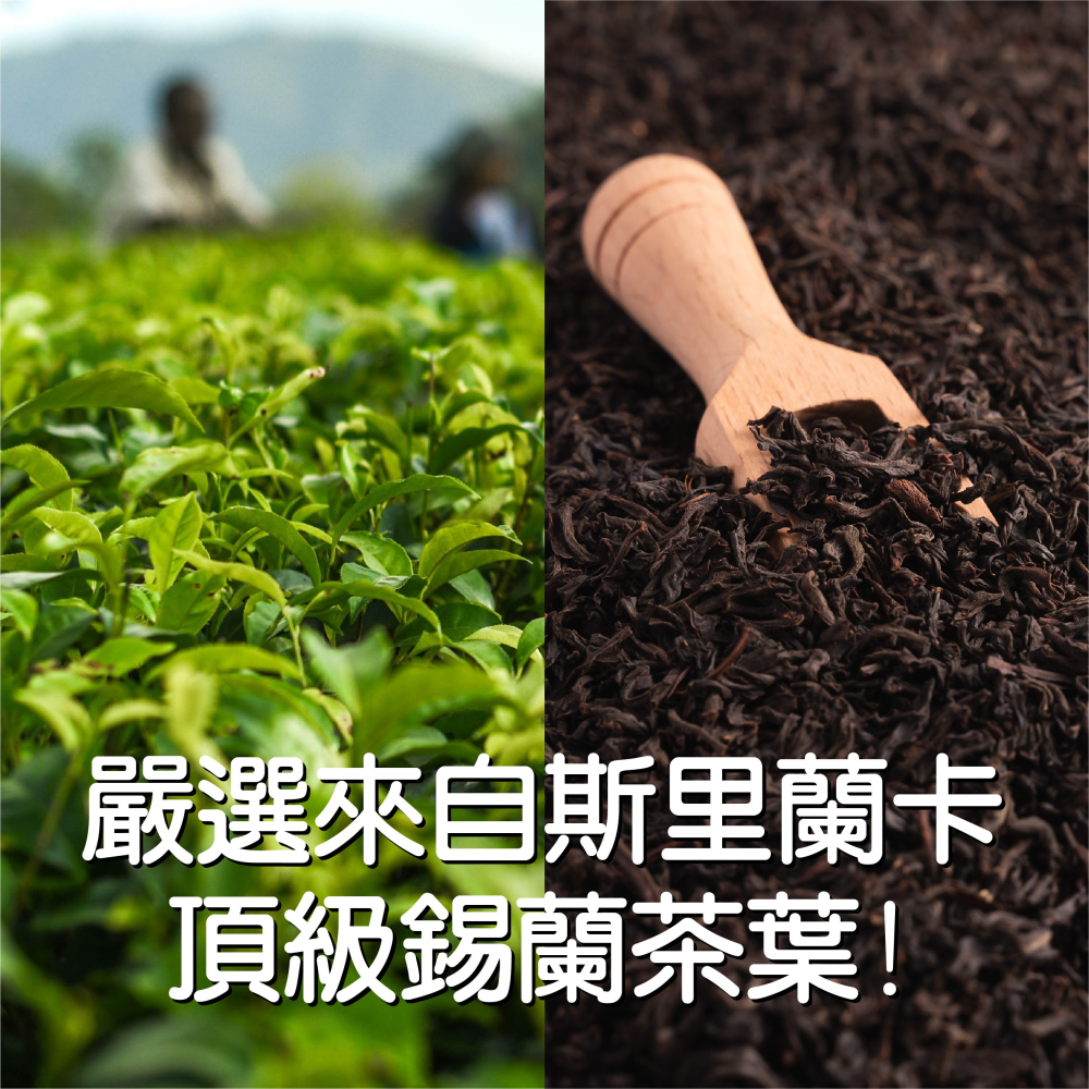 【花鹿水】蘋果紅茶(60、230g) 茶葉-FANGS方氏 散茶系列-細節圖3