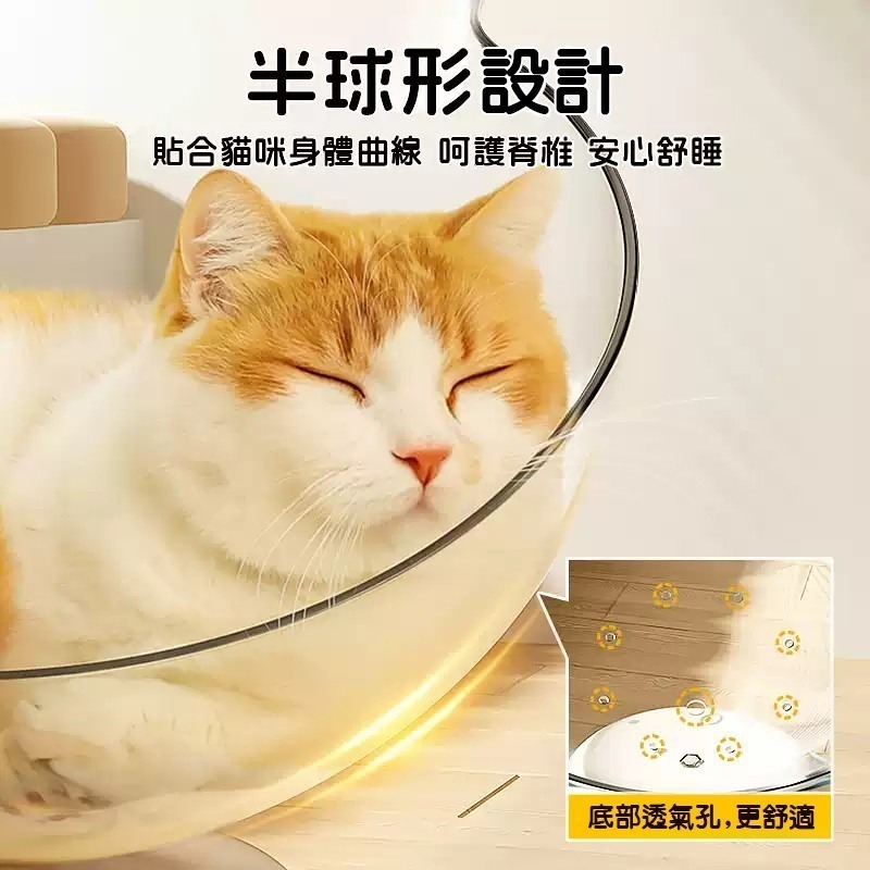 透明貓耳窩款轉盤玩具-細節圖4