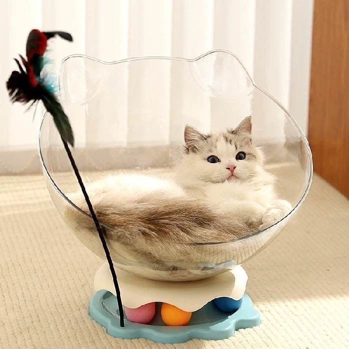 透明貓耳窩款轉盤玩具-細節圖5