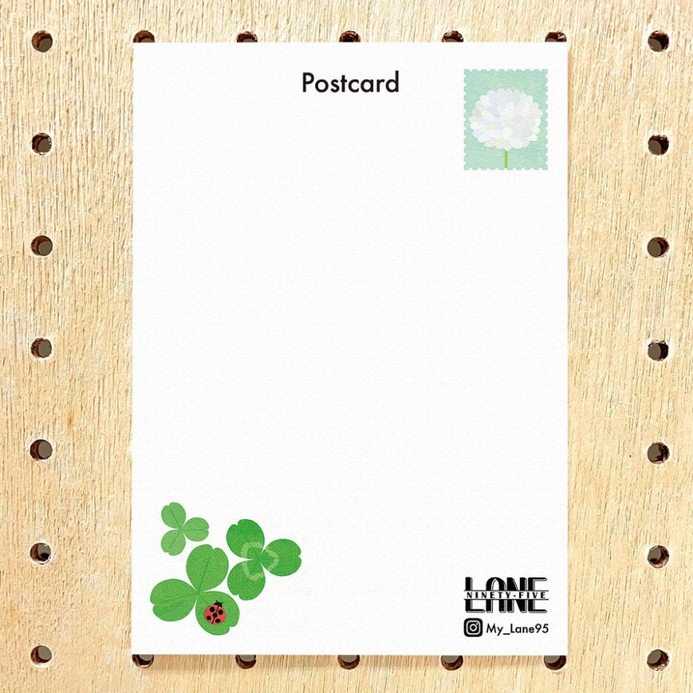 【Lane 95】白花三葉草 明信片／幸運草-細節圖2