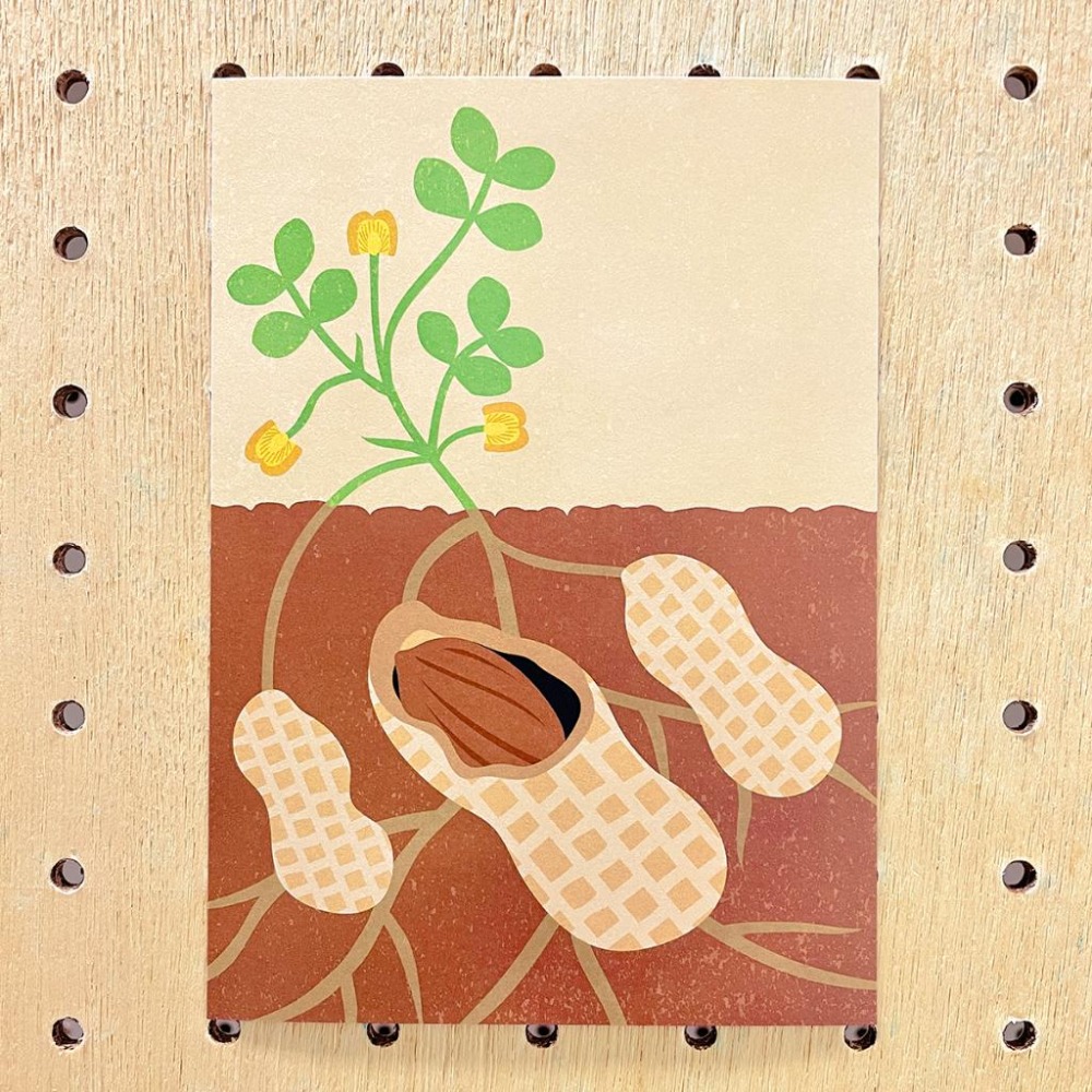 【Lane 95】田間貨車、落花生 明信片／香蕉 甘蔗 車過枋寮-細節圖4