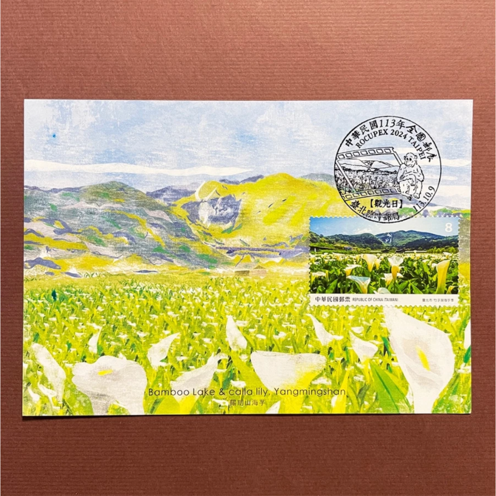 陽明山海芋／觀光日