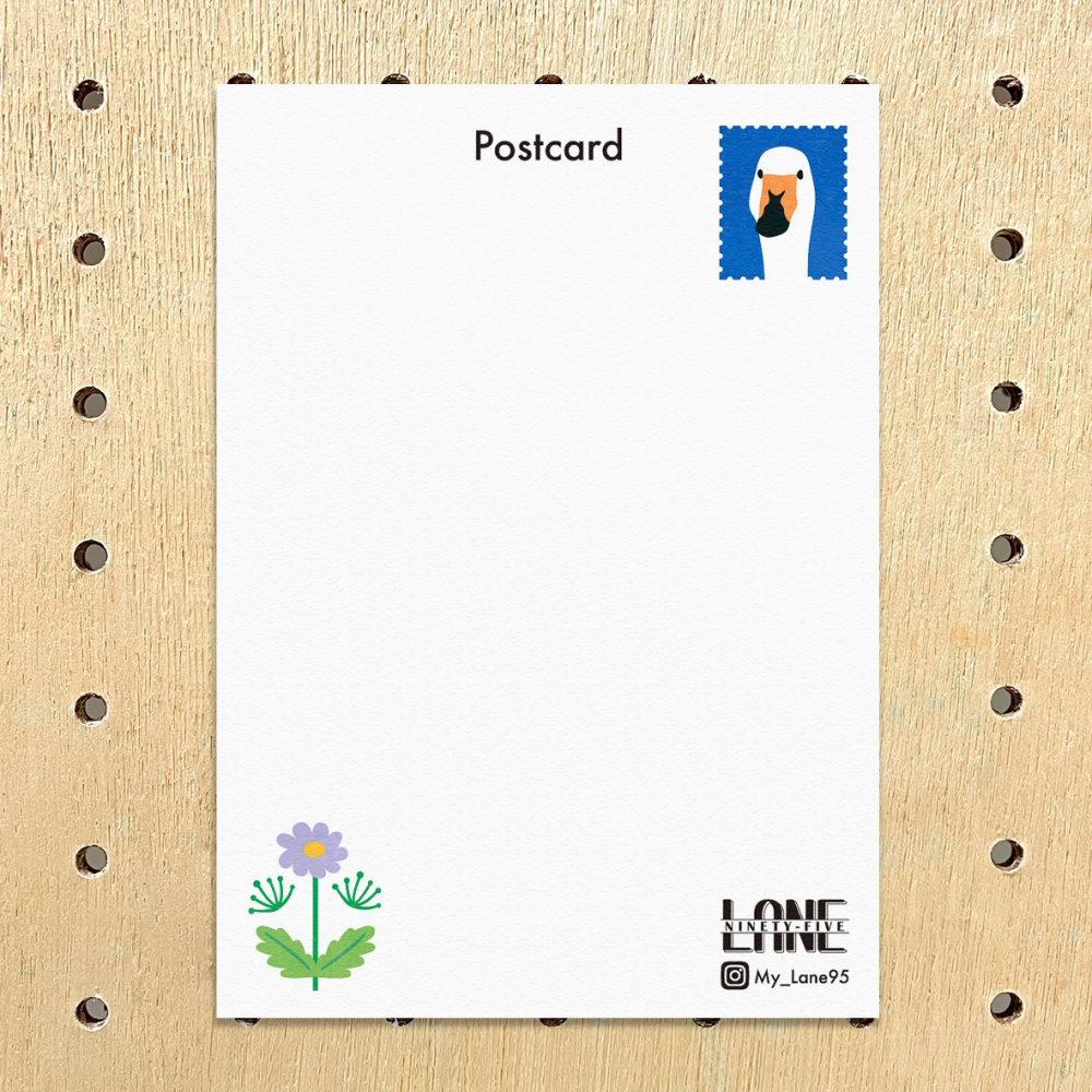 【Lane 95】聒噪的天鵝 明信片-細節圖2