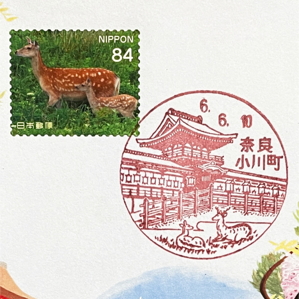 日本原圖卡🇯🇵 奈良鹿 風景印 原圖卡 極限片-細節圖2