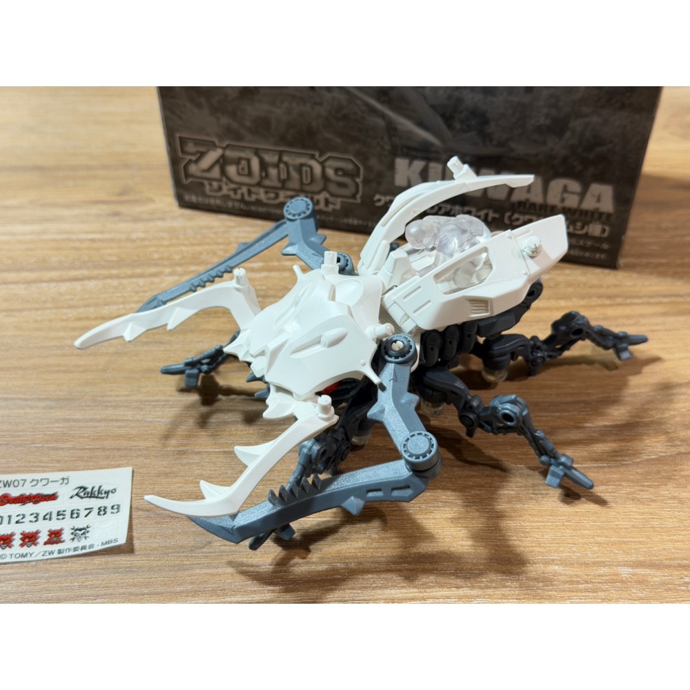 ZW-07 會場活動限定白色鍬形蟲-細節圖4