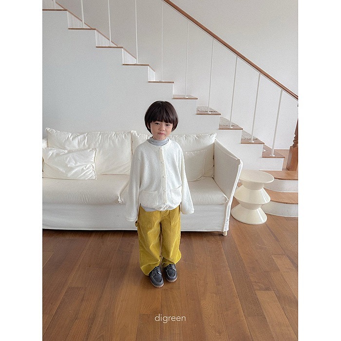 25冬 正韓 digreen 毛茸茸鈕扣外套 三色-細節圖2