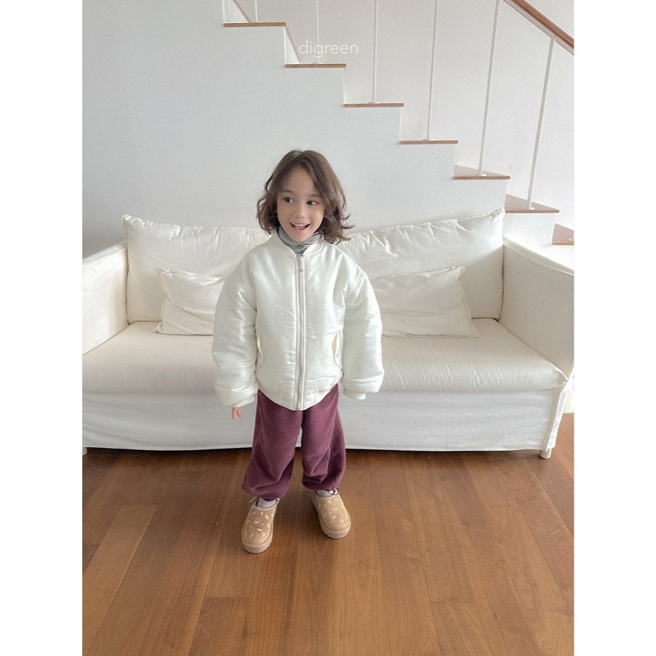 25冬 正韓 digreen 經典款飛行外套 三色-細節圖2