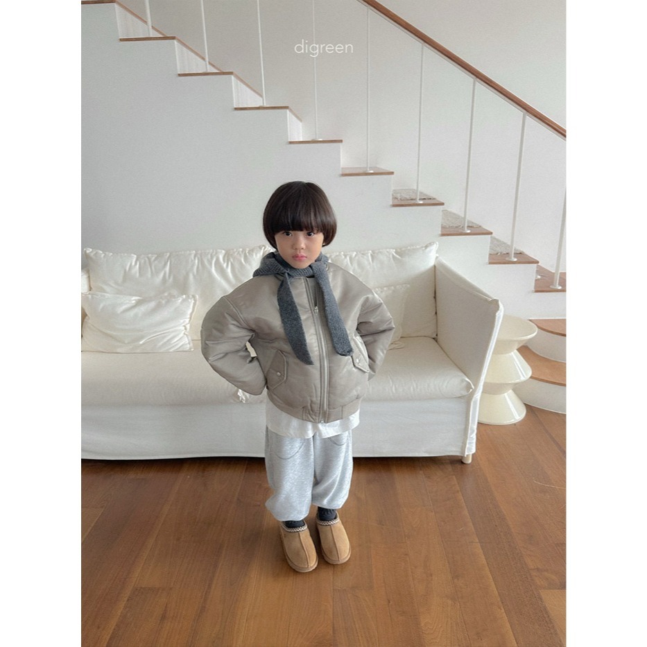 25冬 正韓 digreen 經典款飛行外套 三色-細節圖3