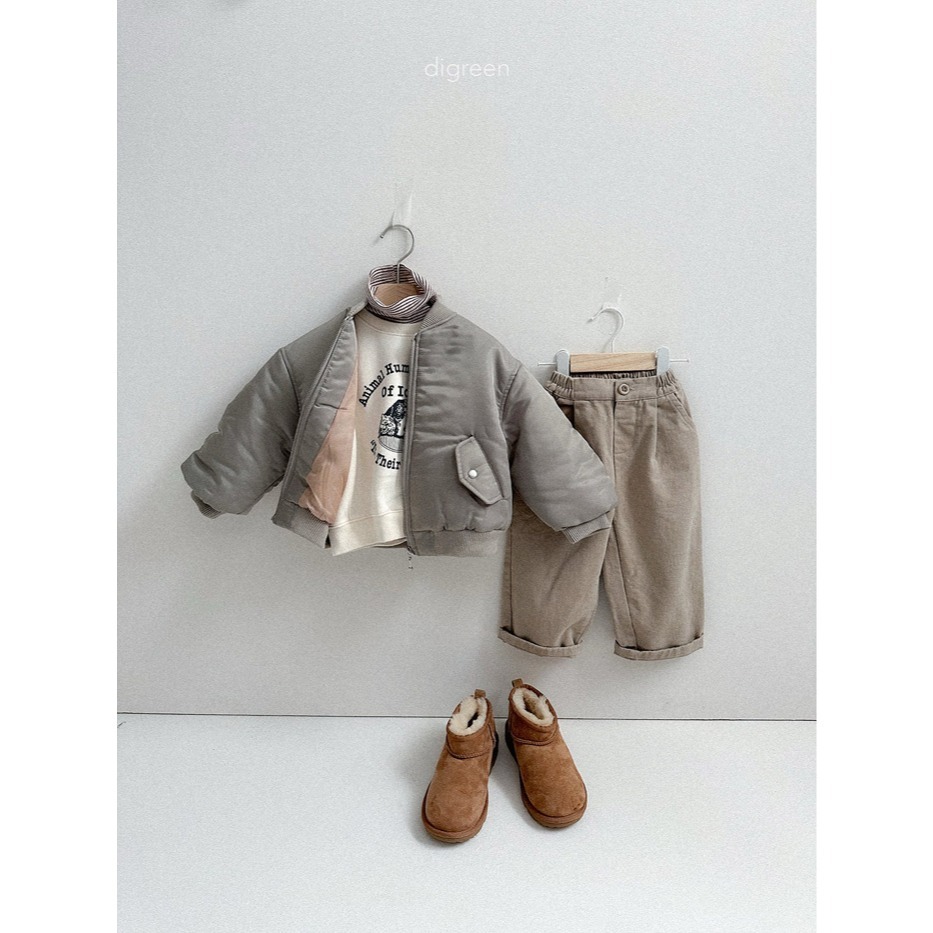 25冬 正韓 digreen 經典款飛行外套 三色-細節圖4