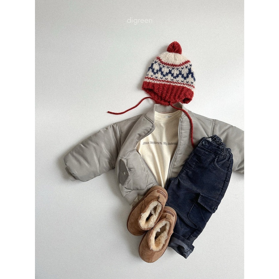 25冬 正韓 digreen 經典款飛行外套 三色-細節圖5