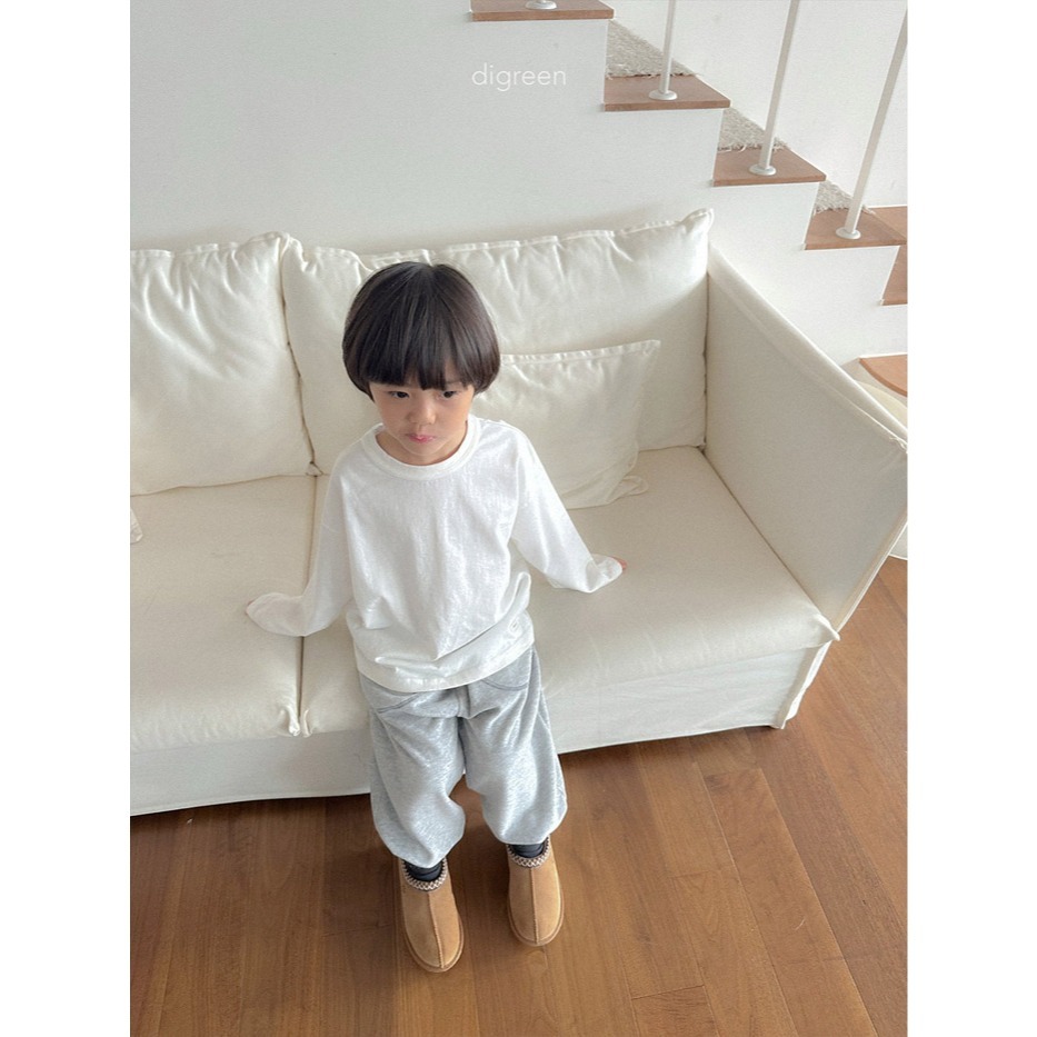 25冬 正韓 digreen 寬鬆基本款百搭素Ｔ 五色-細節圖6