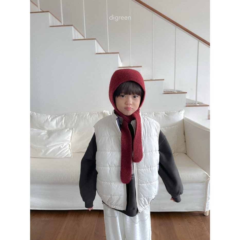 25冬 正韓 digreen 格紋兩面穿背心 兩色-細節圖2