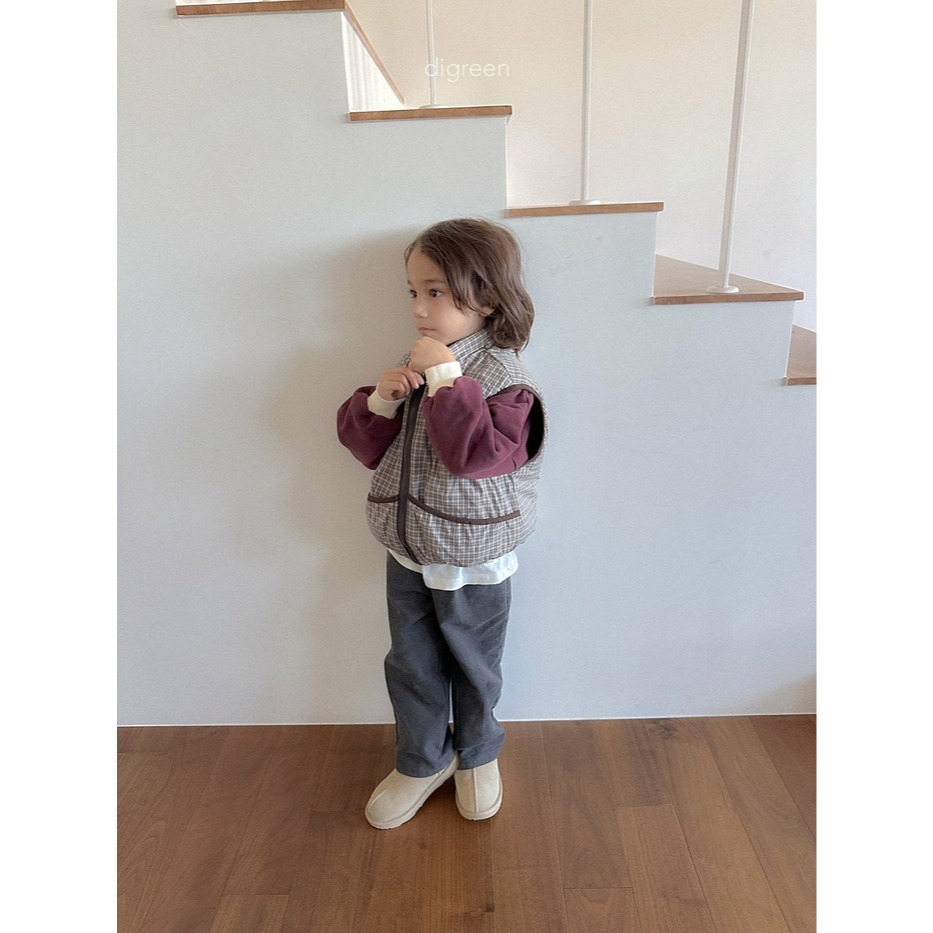 25冬 正韓 digreen 格紋兩面穿背心 兩色-細節圖5